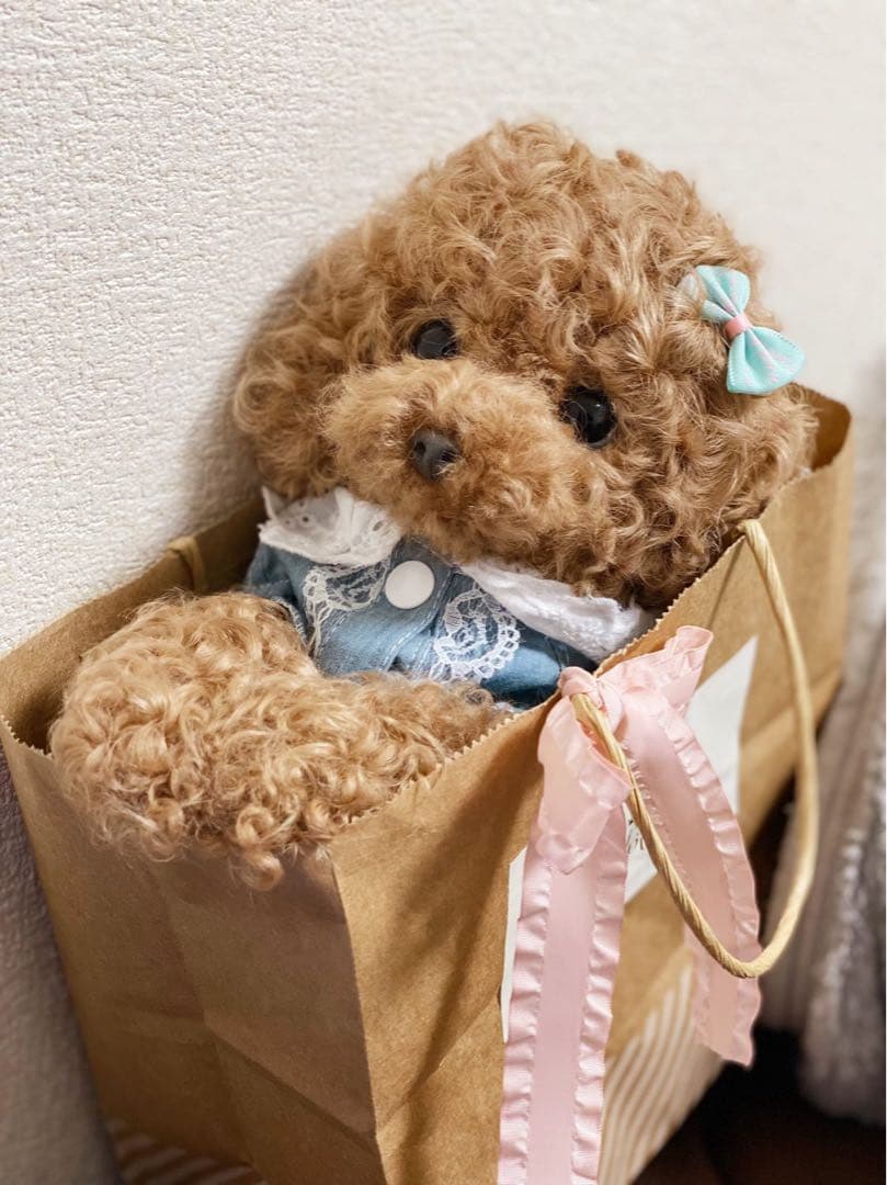 ぽぽみさん　ぬいぐるみ　トイプードル アートドール 作家 ハンドメイド