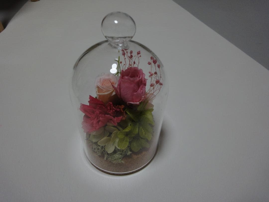 【まさ】　　SONY cybershot DSC-WX1